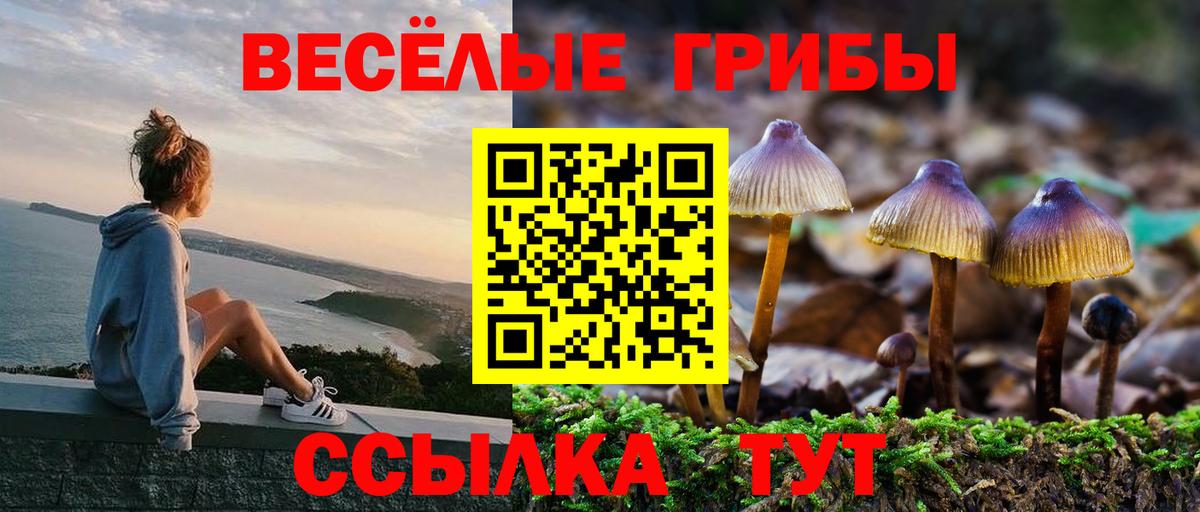 Орехово-Зуево  Галлюциногенные грибы GOLDEN TEACHER  наркотики  Вход с VPN 